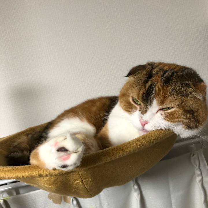 07a54e05 f074 458f 8366 69e2bc2ed64a 1601640022175