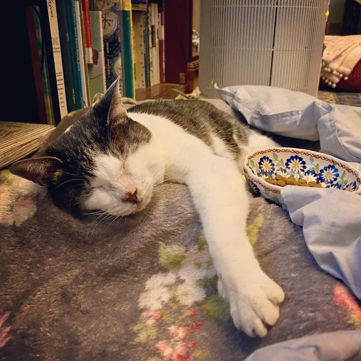 07a5541a 847d 4424 bfab e26d310433f0 1615470641793