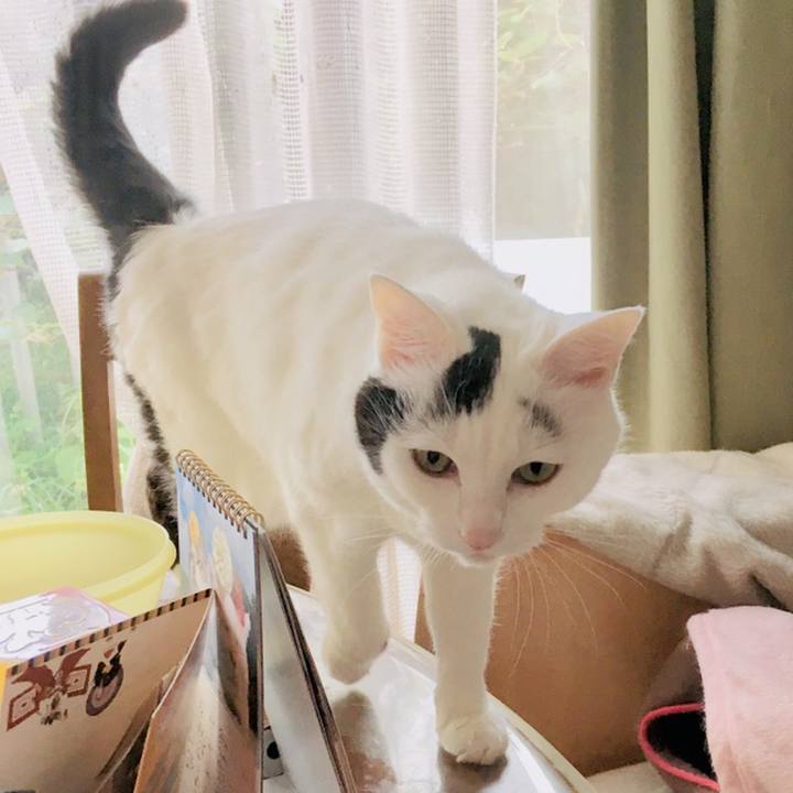 07a59bd8 6f71 4535 8b56 06d7a0834ec5 1560307517908