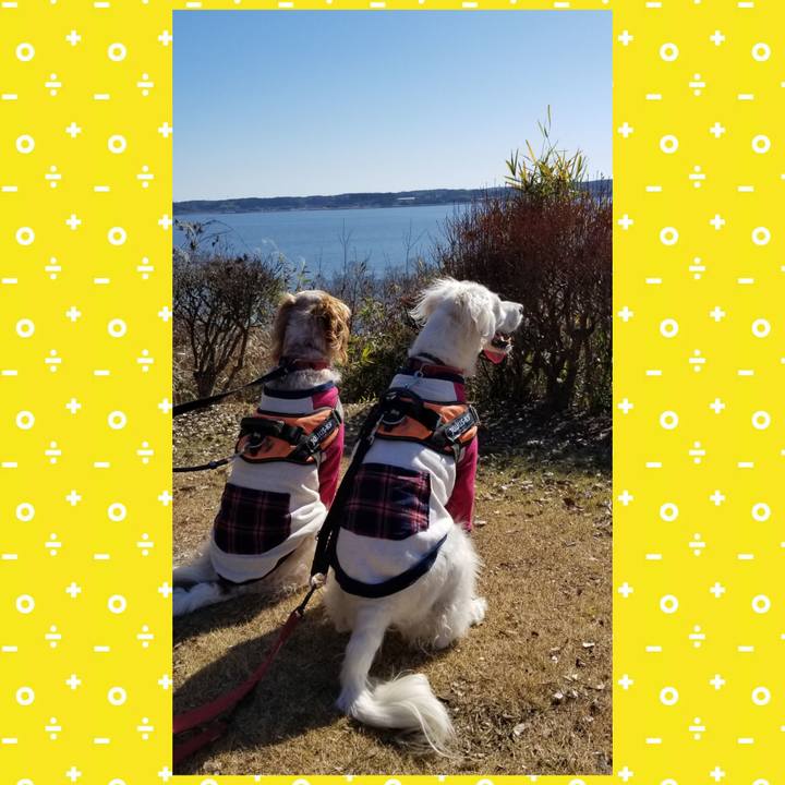 07a5abfa 8a0d 432d a4d8 23f2b12a13ca 1705234779536