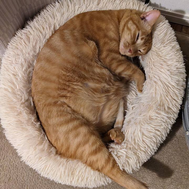 07a5bbab 8cae 454b b1b9 99ec98d8973e 1688857287509