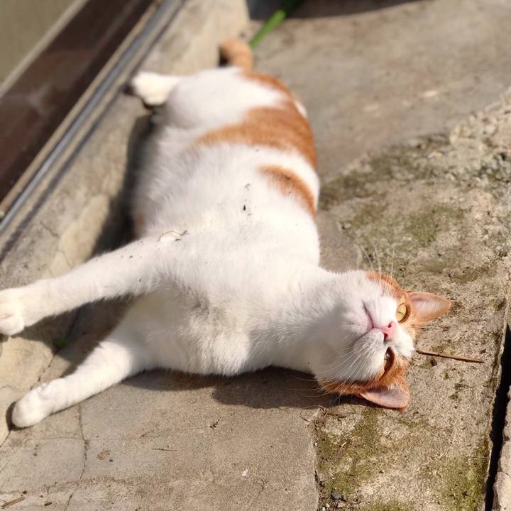 07a5c156 99d6 40ee ab73 4b1e323276de 1541906739210