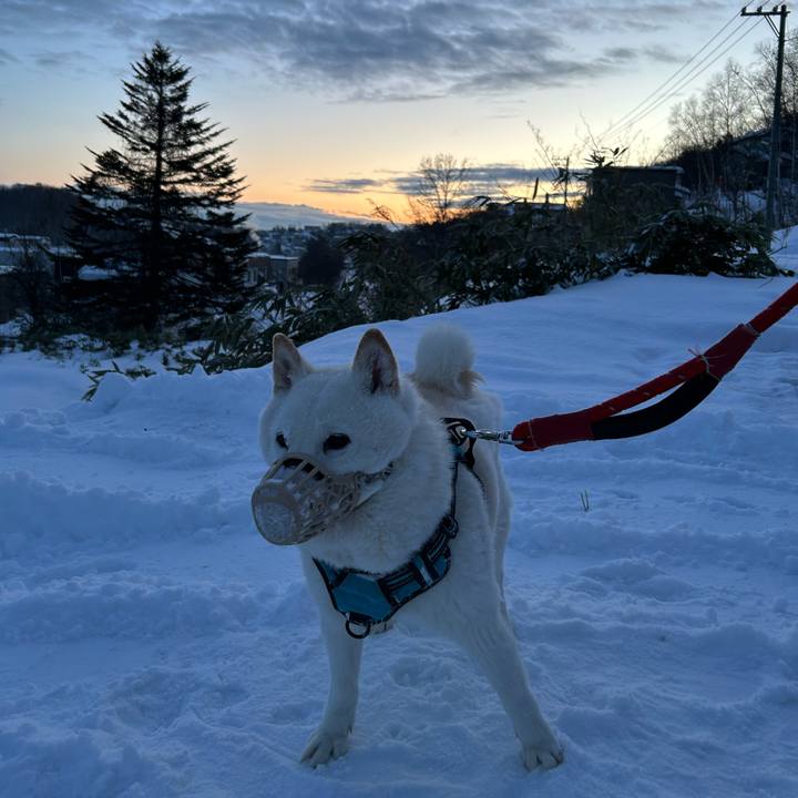 07a5e3e8 95e7 471a 99b7 0f3c186dc8d5 1736719938828