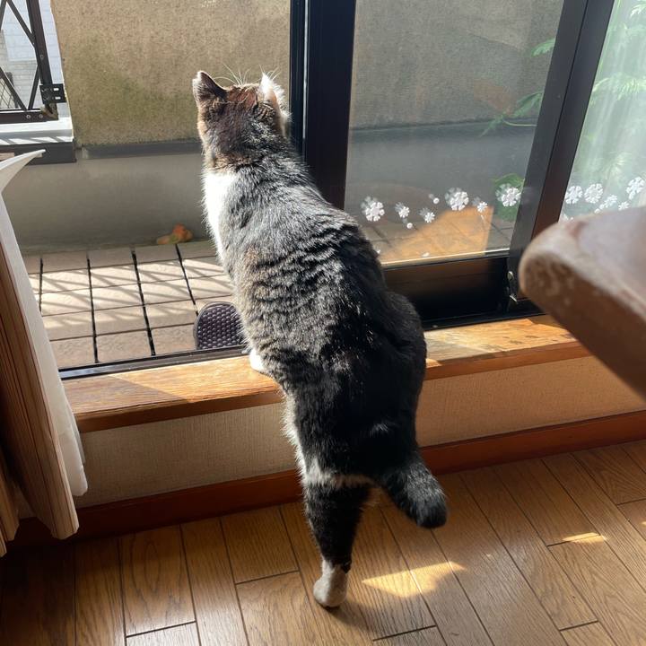 07a5eab9 f311 483c 8a65 f991d0f67fb5 1681375540642