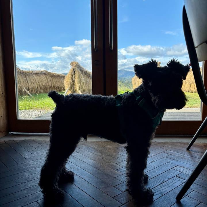 07a61174 0975 4c99 84de 11a482d40c3d 1761985055951