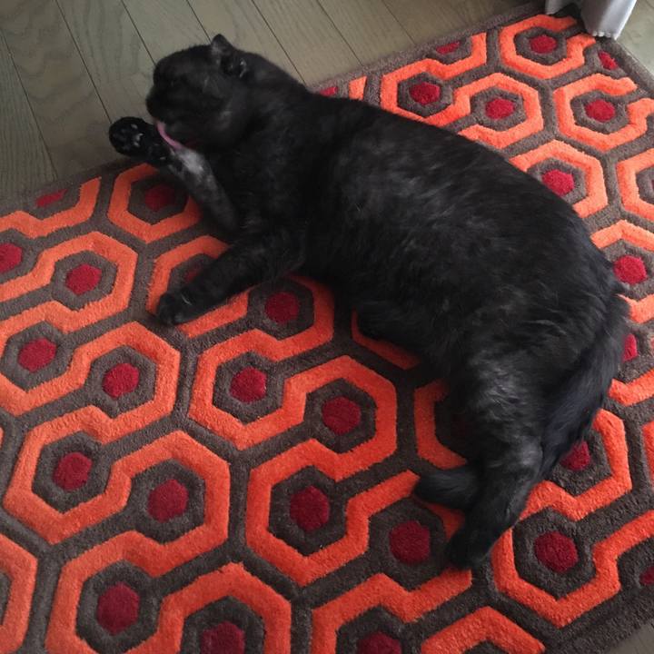 07a63f5e 6ae2 4863 8623 9d97879e556f 1538693733337