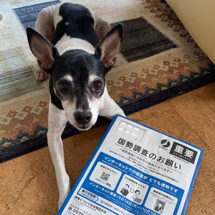 07a64651 74f6 4d46 a81c 8431eed799d3 1600521683781