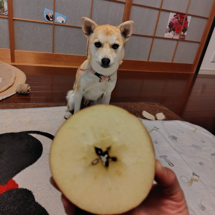 07a646bb 2a98 4cd5 aa9e 64536dc99959 1768725321373