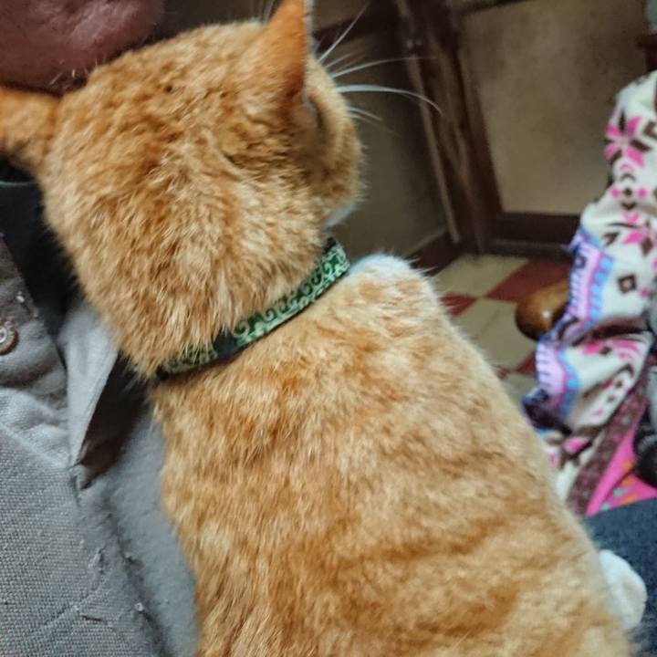 07a6849e 3a7e 405c a208 d57424243e0a 1584445497672