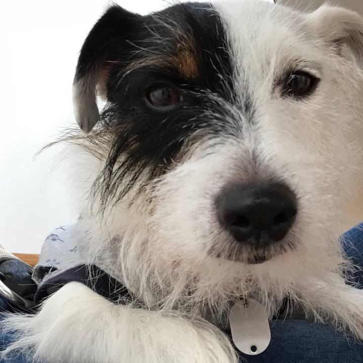 07a6859e 6e57 4062 91bd cf8f7a453420 1508971422426