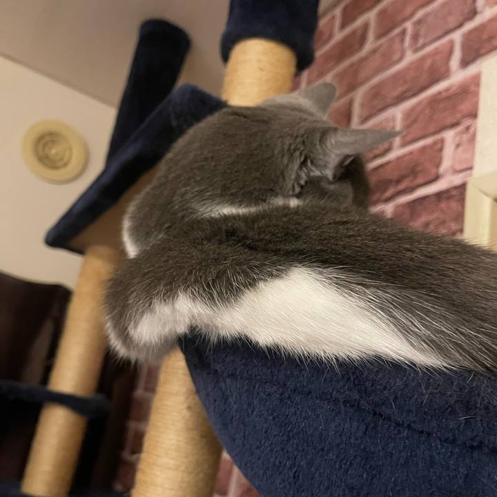 07a68b96 5515 4a8c 99d9 1966224b4784 1748780773318