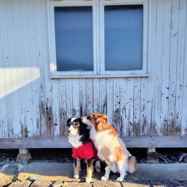 07a6c73d a15c 48a7 adb6 2116e9bd6278 1772622433495