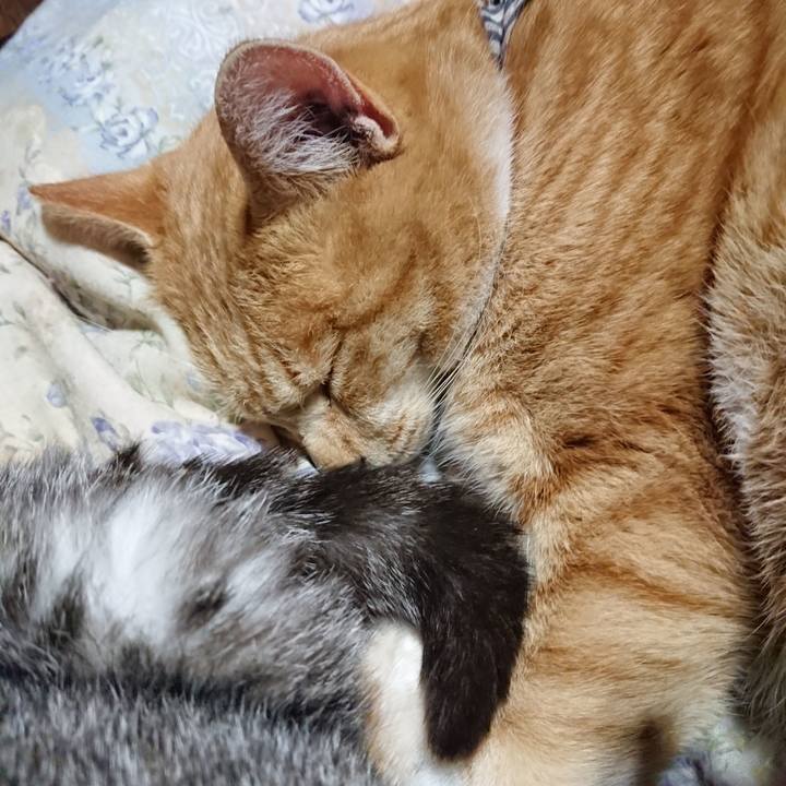 07a6e2c1 d591 4ce6 a80e 459b9ac10823 1575981242098