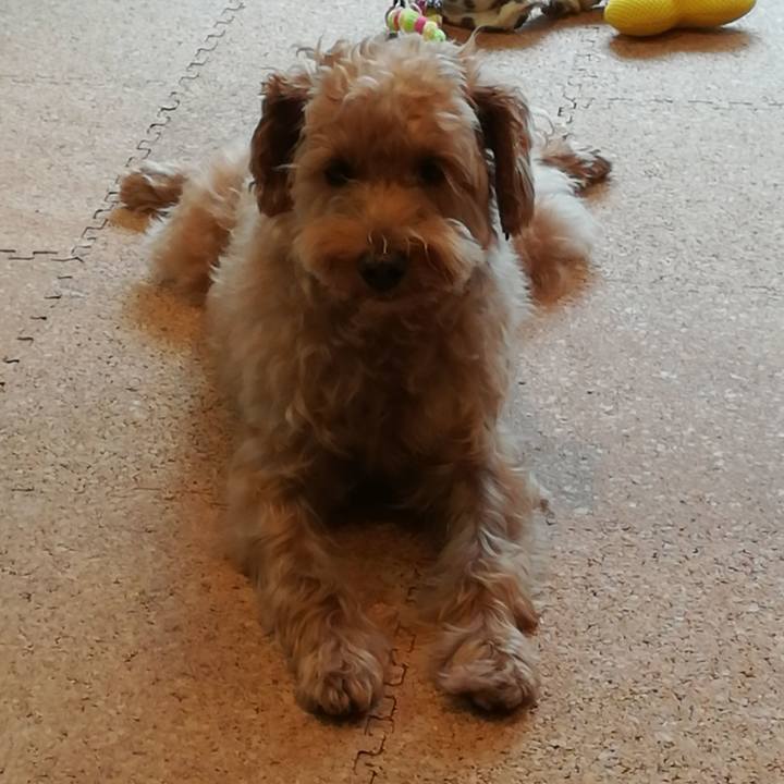 07a6ec2b b853 4563 becc 4dacaf6d13e8 1538517360574