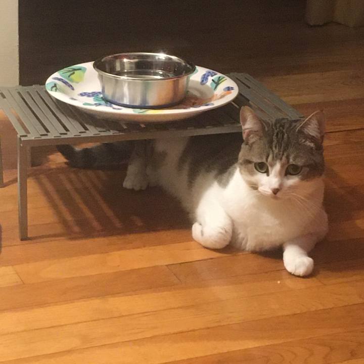 07a6ecae df35 47d0 a8db 83b721aec713 1633480509538