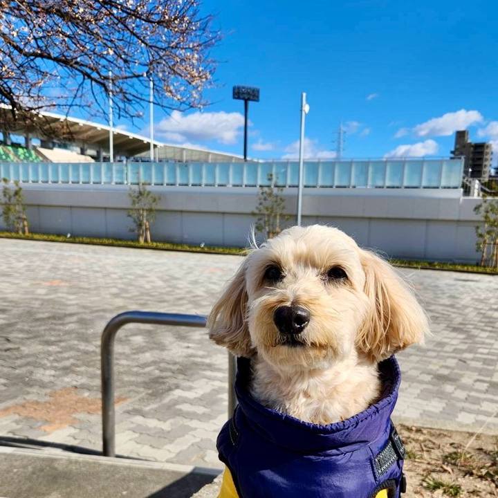 07a726bc ed98 4dfa 8654 b15864713cf2 1769058268952