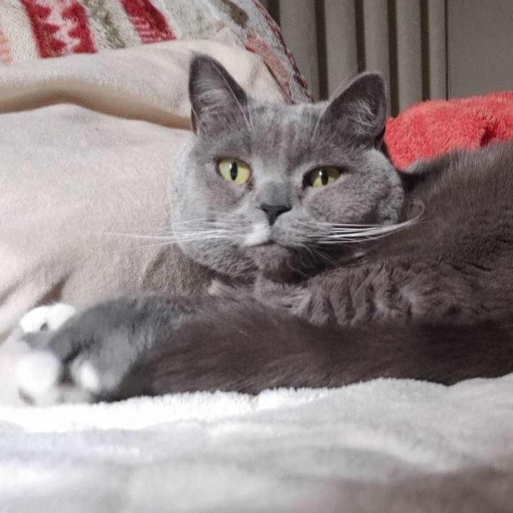 07a73385 1c72 4efb 8c0b ce2ef49c9e4e 1671967066838