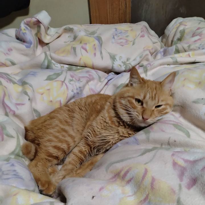 07a77602 d408 45c1 a378 120200a02a07 1669638414243