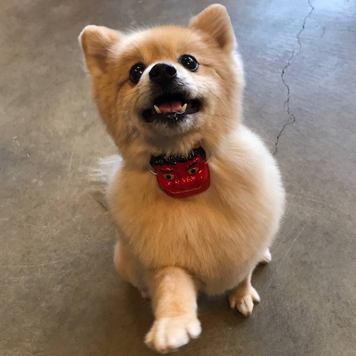 07a79ef6 2739 4a80 b956 e4c401b78b96 1612602257121