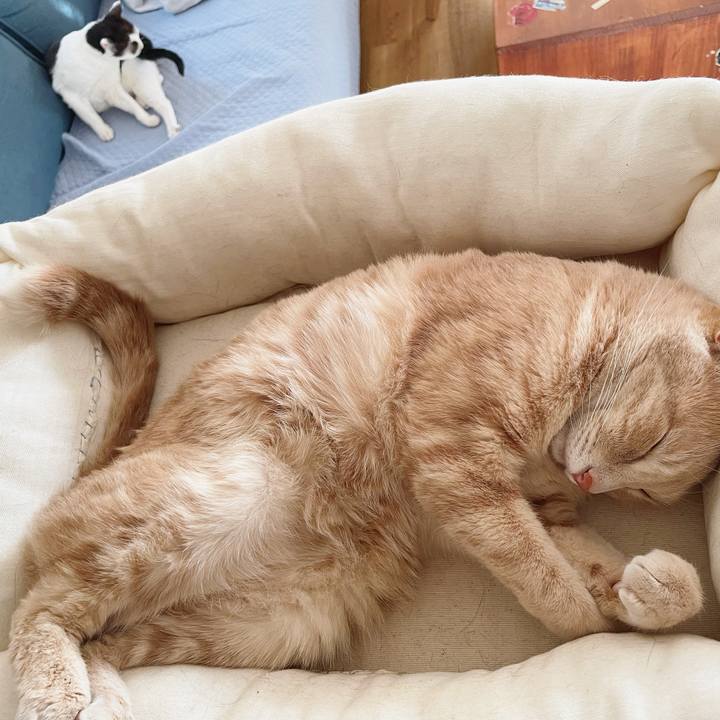 07a7c500 d1c1 4e89 8c37 e4d03777dc3f 1652195376541