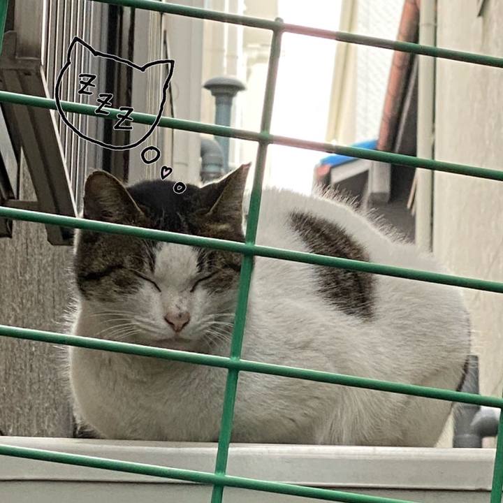 07a7c57b 7947 4bc9 b525 05b371812d9a 1581057919362