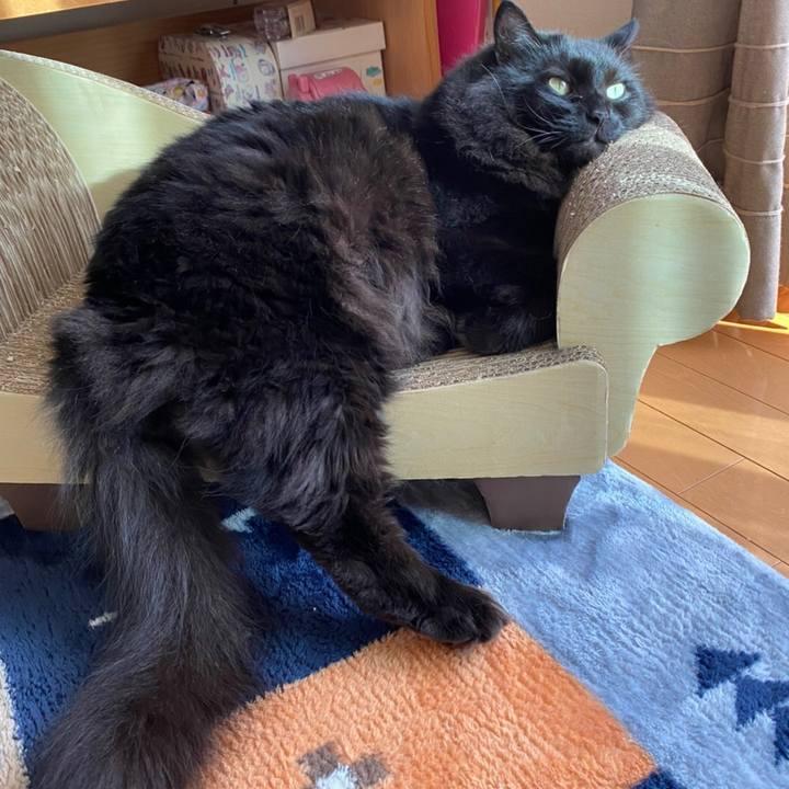 07a809dc 2ea5 4d13 95af 881834fa61f0 1597577933051