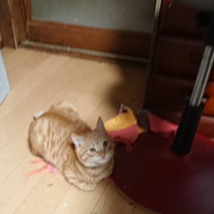 07a858b8 5a6c 4698 aea7 bdc36311b72d 1639011994265