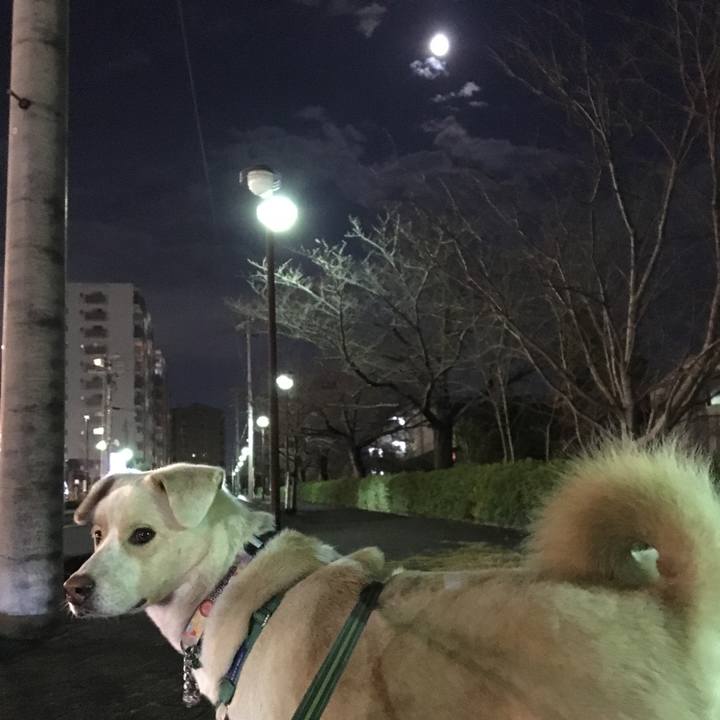 07a89aab f047 4462 965c 8febd2b17cc9 1514722298508