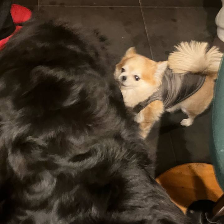 07a8b293 35a5 4a4d a033 26f62cc7c468 1766957110093