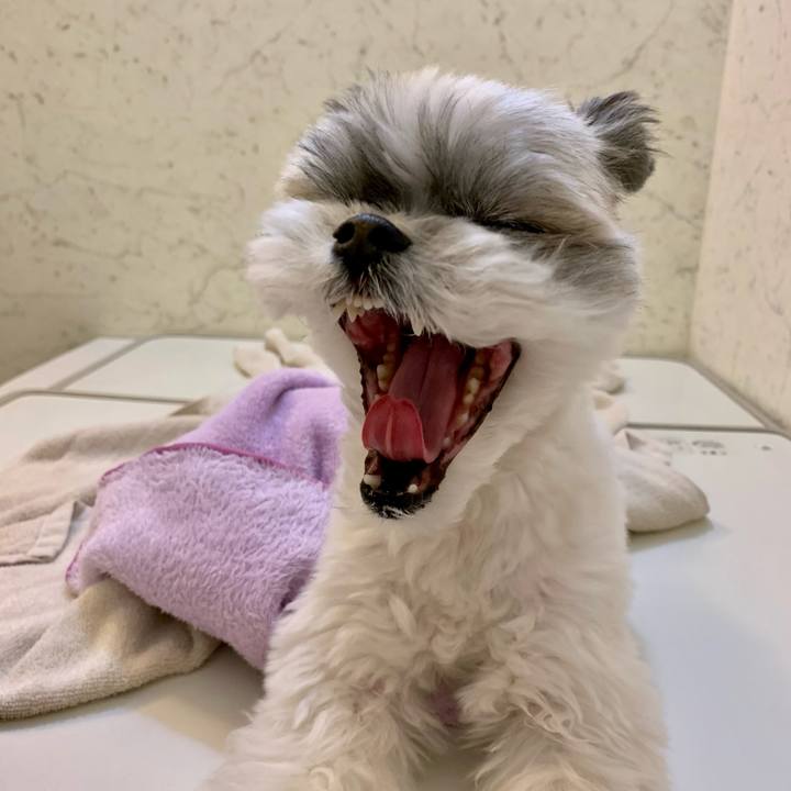 07a8ca02 bbd2 4837 bff5 aee750a85623 1615286382986