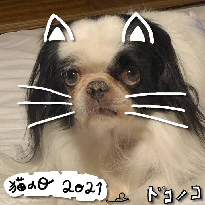 07a8ce6e 695e 4e7c b3b0 e6fcff54d479 1613976352312