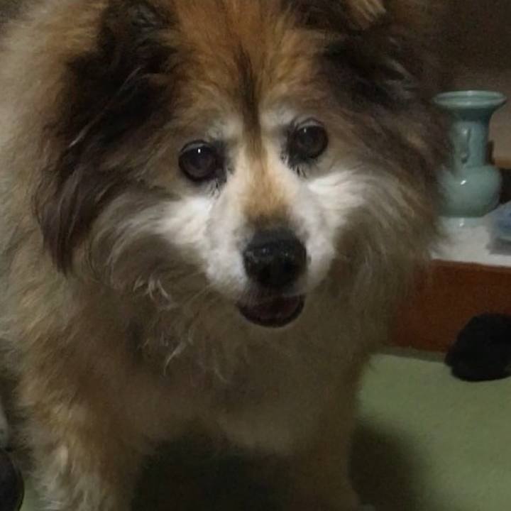 07a8ceb1 3948 4303 a3ec 757e59cd74d7 1588722074010