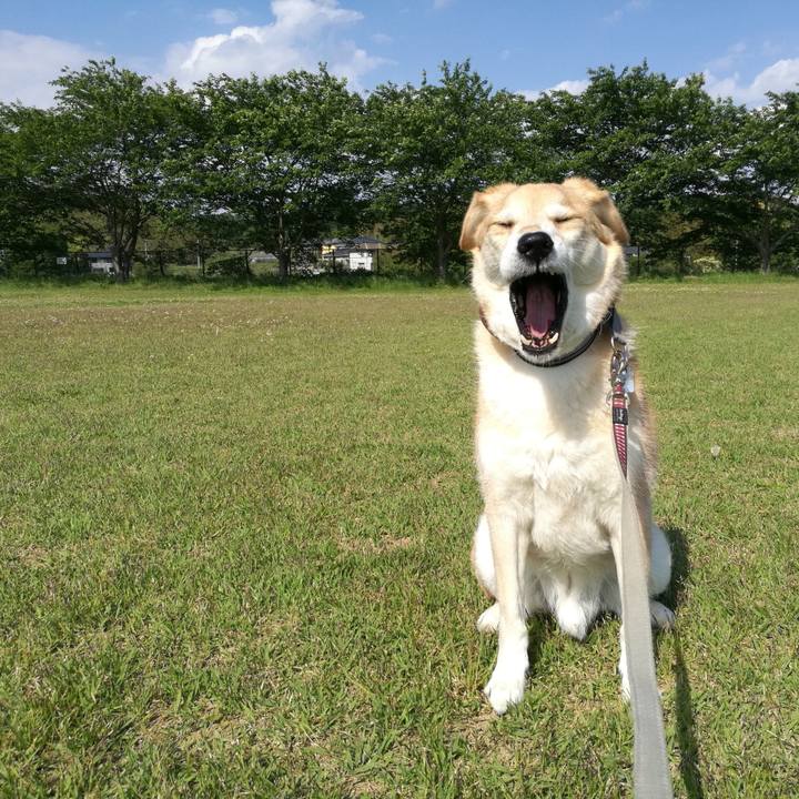 07a8f134 d66c 470d 9794 5553f6826384 1557989831256