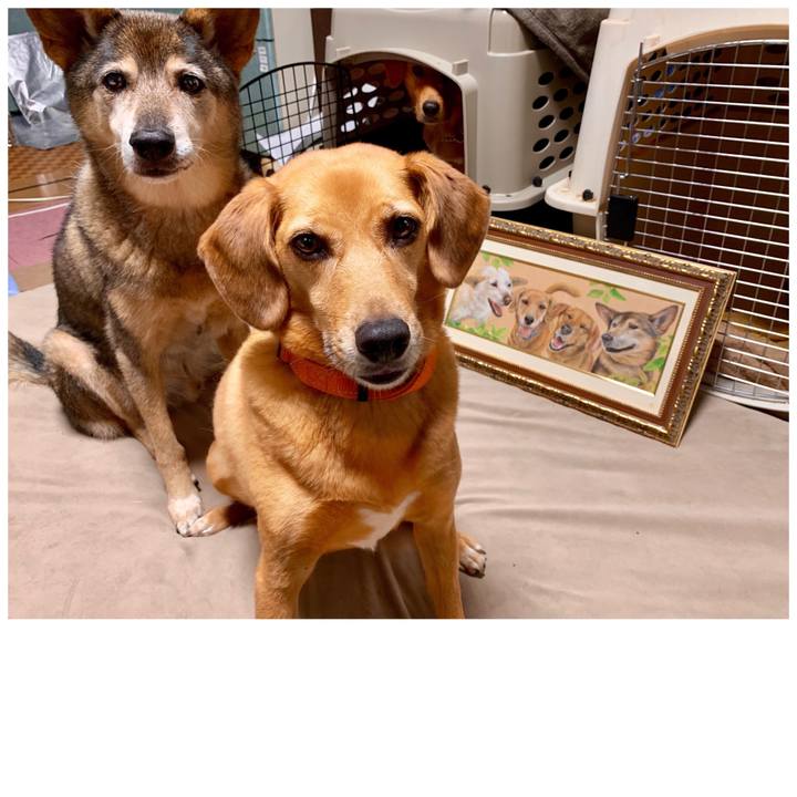 07a9015f 2d38 4572 8f02 627661a34da5 1568987400652