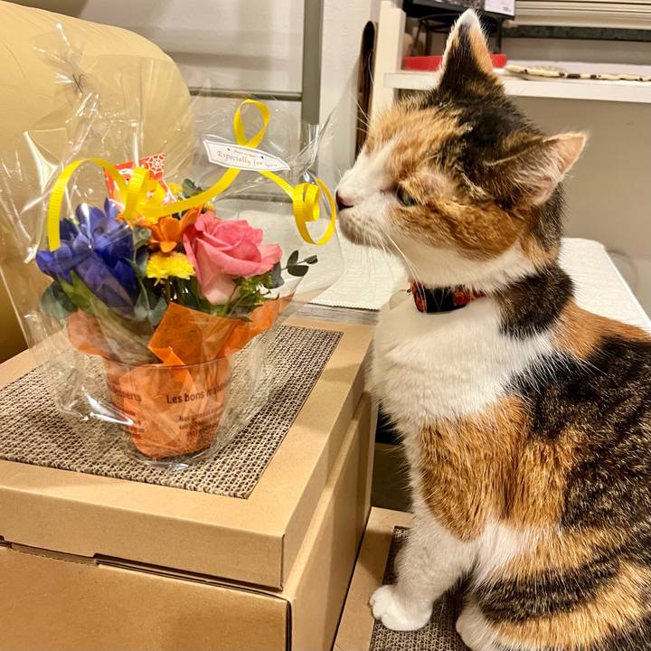 07a90279 f386 44fd 9da4 64e29a72d85d 1697811391665