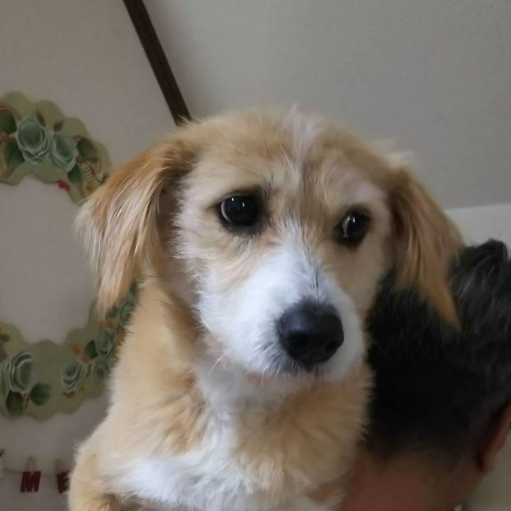 07a93b37 10d5 4008 ab2a daa8813756ac 1546943451423