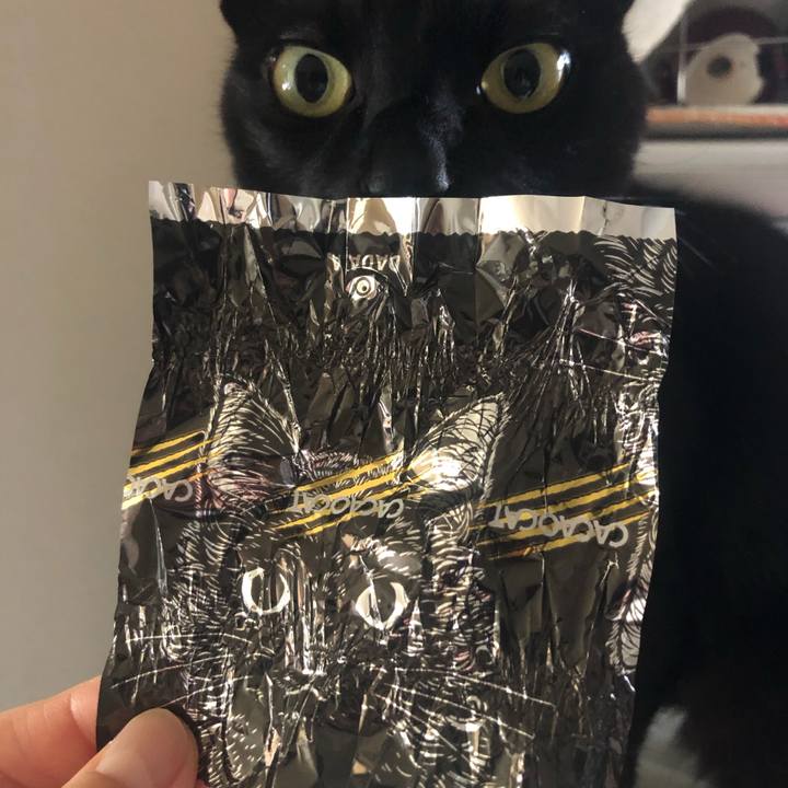 07a9613b 10bf 45bc b1ba 697a670d7e9d 1617321770586