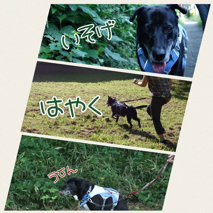 07a97ad5 57cf 47df 8155 b461b35a77ab 1723420638649