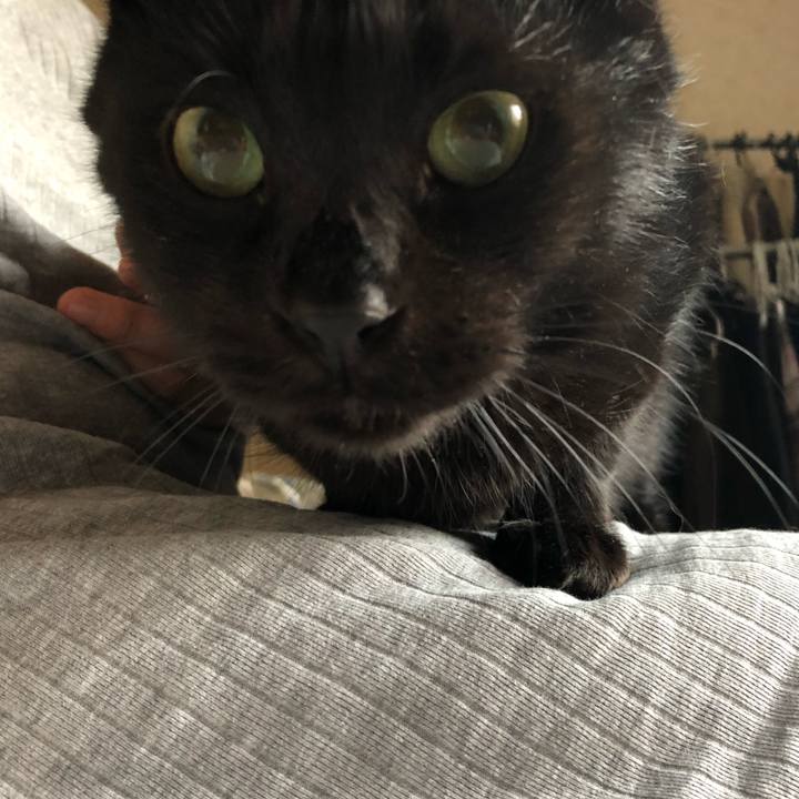 07a9ca81 ea11 4099 808d 9a77dc6610be 1572643999417