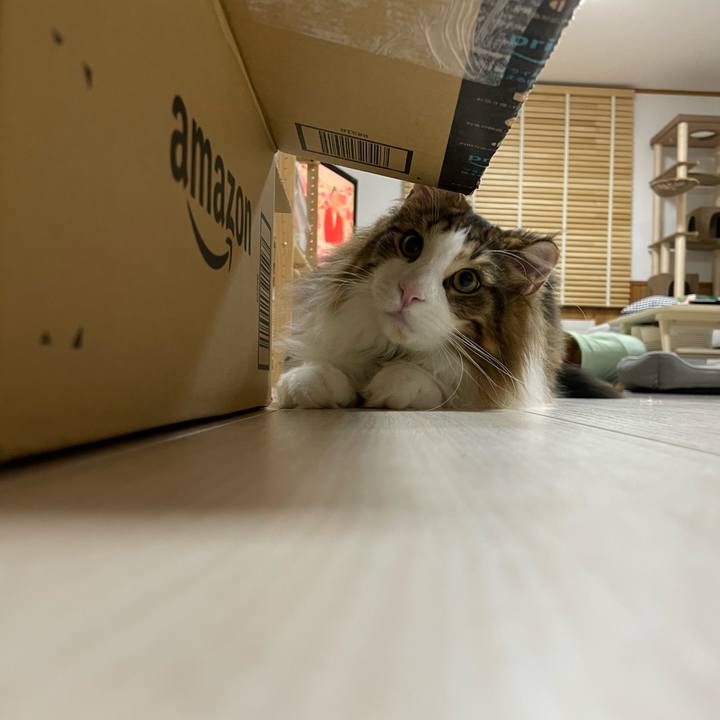 07a9caaa 7480 4e89 987c f524f8d898ae 1643111056371