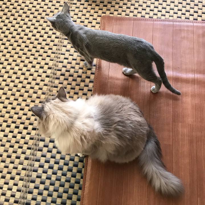 07a9eaec be91 4df2 b04c 3cc8fab2a9c7 1513264715030