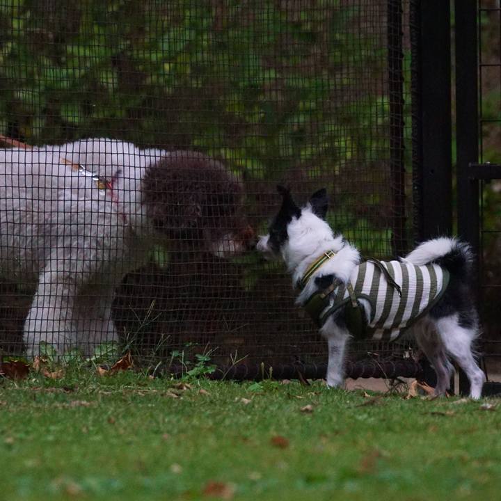 07a9fe4a 3c43 44b3 99cb d684f9d7ef08 1570614912778