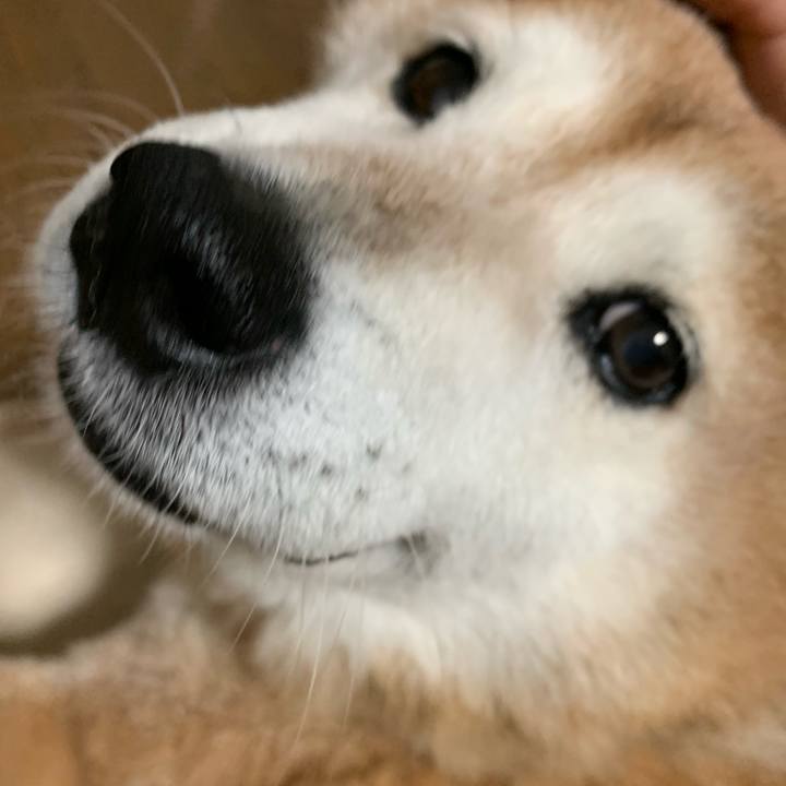 07aa04f4 b0c9 4faa 85e9 88ca316f2c87 1567159829958