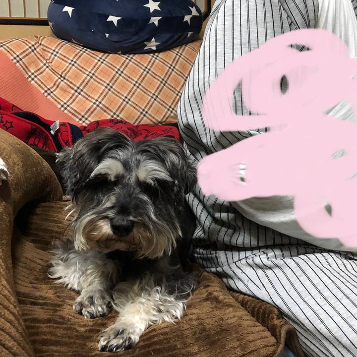 07aa14ff bbf4 43f6 8875 624f5aa798b5 1620823228302