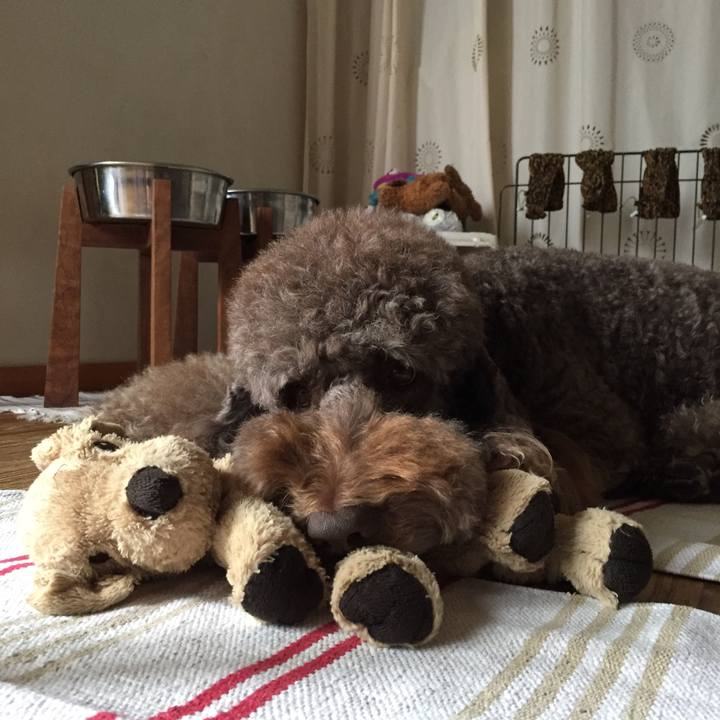 07aa1a75 5618 4734 b05c 560e39489583 1508140272123