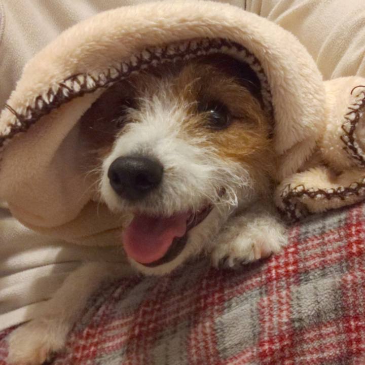 07aa1c2b 5d56 4e6a 9184 5669934d3595 1576758363688