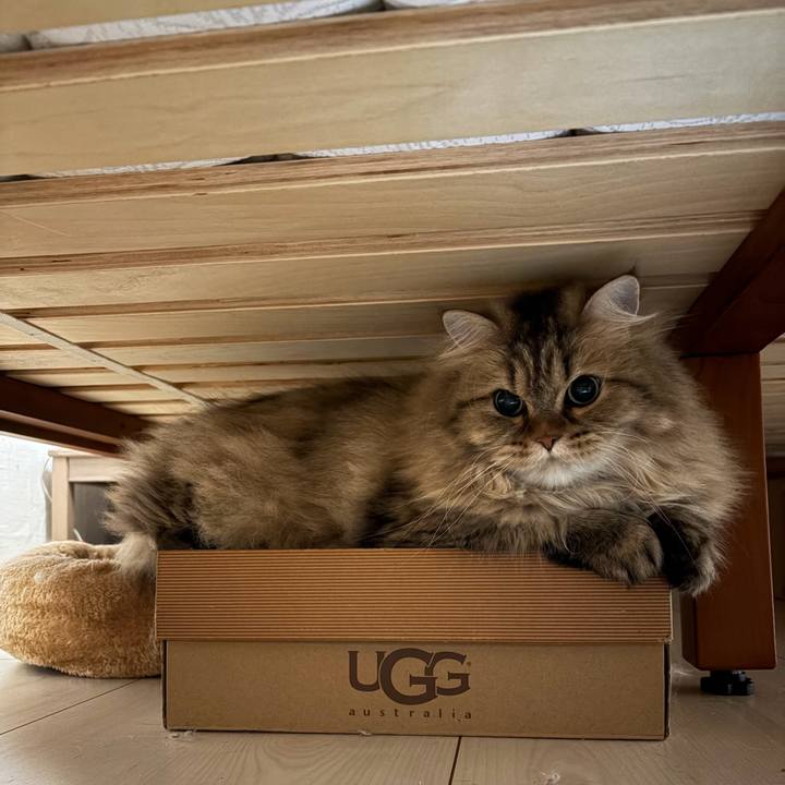 07aa4518 fc78 422b ada9 d4588a05d424 1774326197777