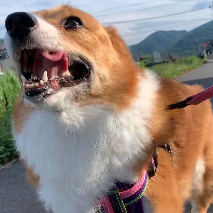 07aa94b5 547c 4aa0 86fa 38156d344e88 1656281187586