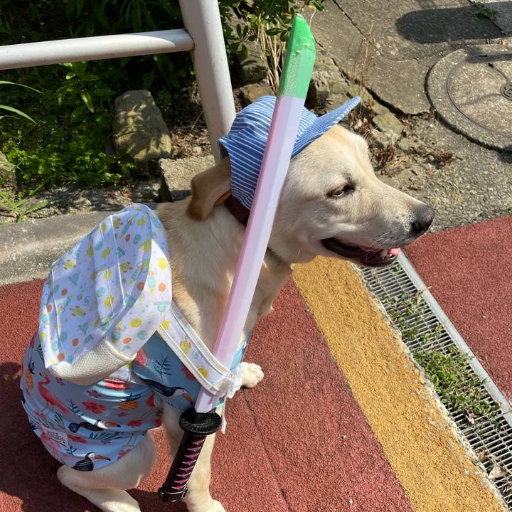 07aaad1d b59f 4a89 8135 4583e969c219 1624520743823