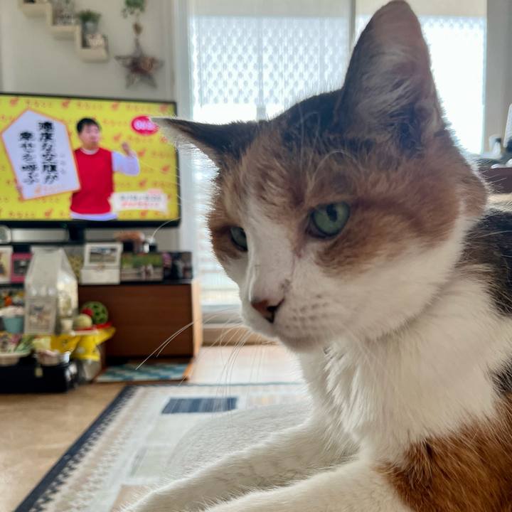 07aafcf9 a6c9 40f5 8682 91d22ccd6b41 1694988363005